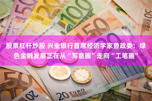 股票杠杆炒股 兴业银行首席经济学家鲁政委：绿色金融发展正在从“写意画”走向“工笔画”