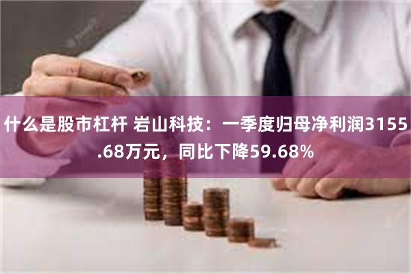 什么是股市杠杆 岩山科技：一季度归母净利润3155.68万元，同比下降59.68%