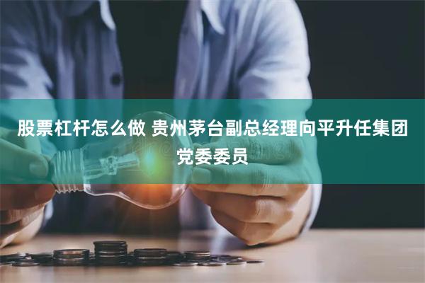 股票杠杆怎么做 贵州茅台副总经理向平升任集团党委委员