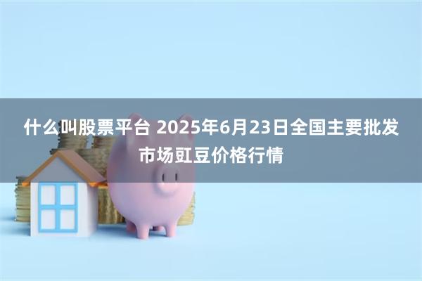 什么叫股票平台 2025年6月23日全国主要批发市场豇豆价格行情