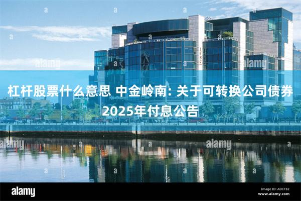 杠杆股票什么意思 中金岭南: 关于可转换公司债券2025年付息公告