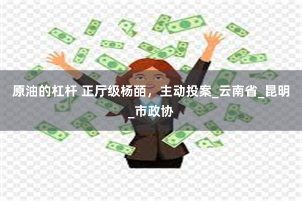 原油的杠杆 正厅级杨皕，主动投案_云南省_昆明_市政协