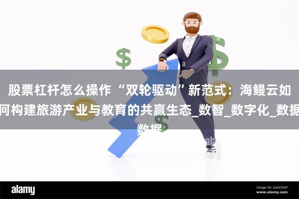 股票杠杆怎么操作 “双轮驱动”新范式：海鳗云如何构建旅游产业与教育的共赢生态_数智_数字化_数据