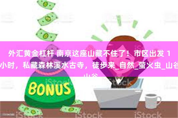 外汇黄金杠杆 南京这座山藏不住了！市区出发 1 小时，私藏森林溪水古寺，徒步来_自然_萤火虫_山谷
