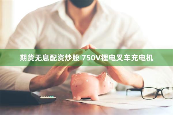 期货无息配资炒股 750V锂电叉车充电机